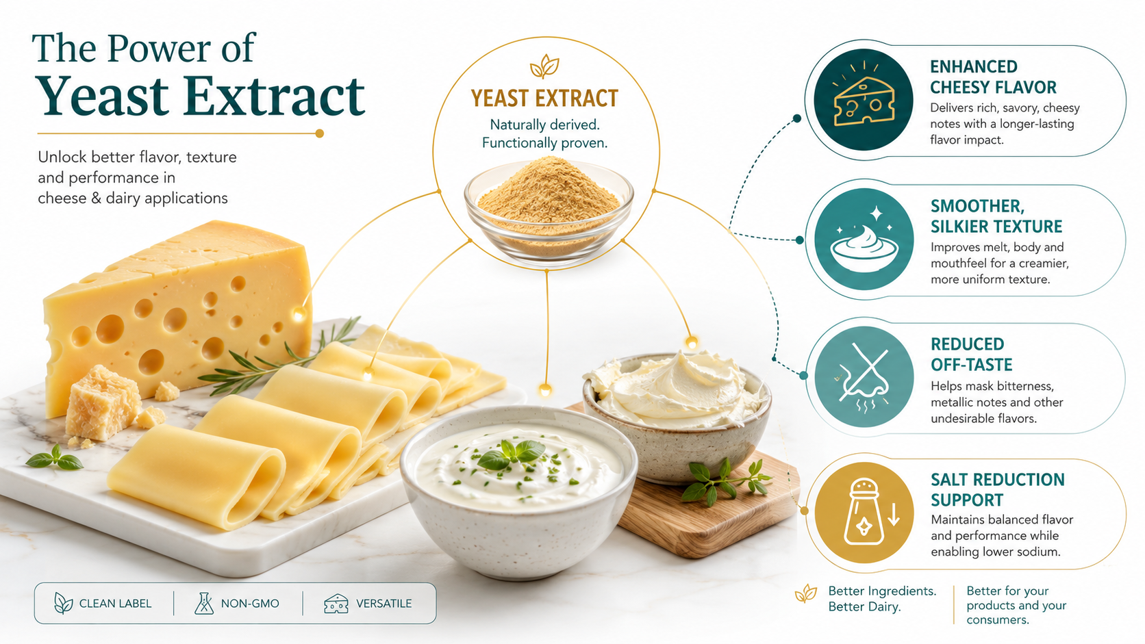 What Yeast Extract can do to Cheese and Dairy Products
