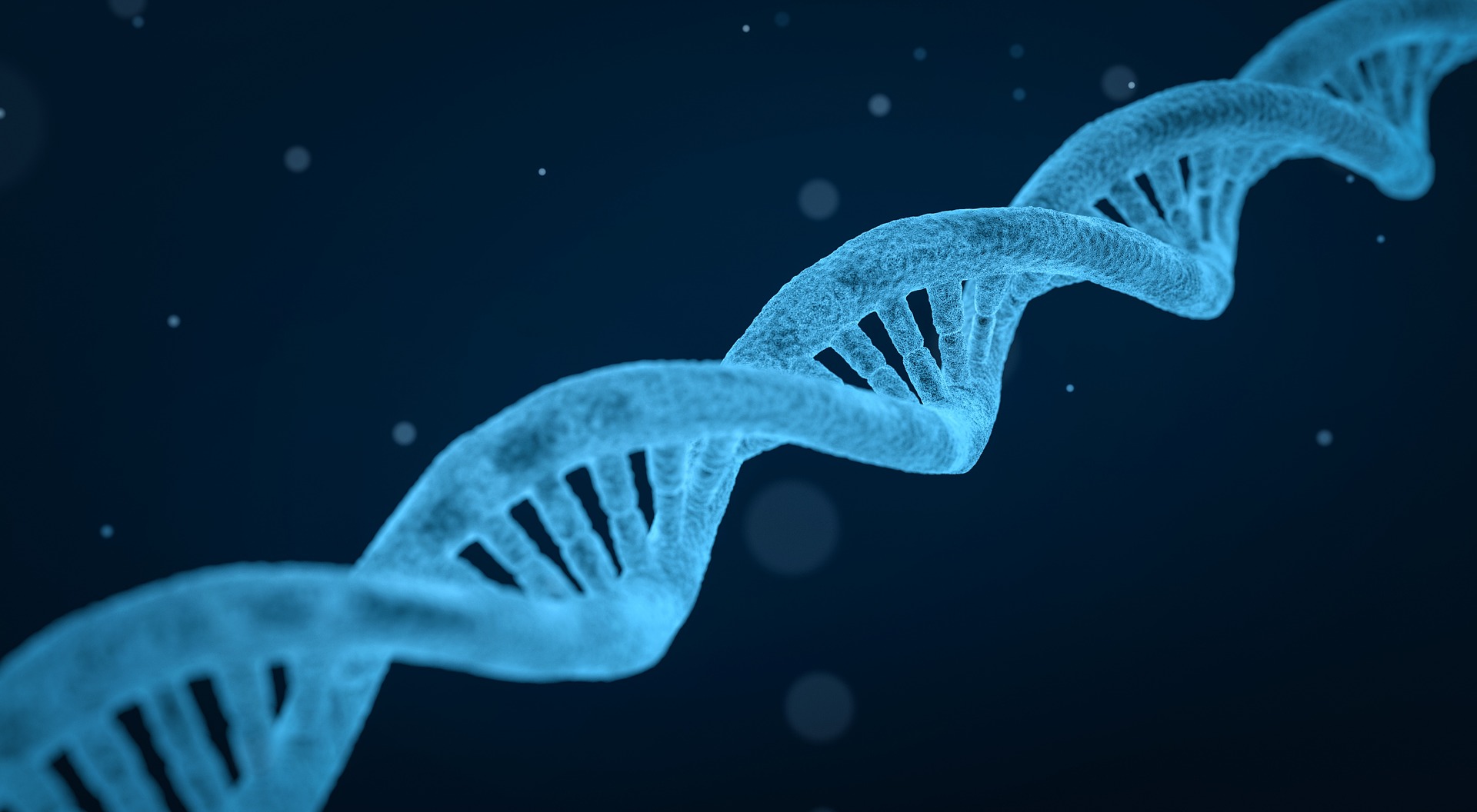 Nucleotide pool cellular metabolism and RNA nucleotide science